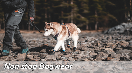 Non stop Dogwear 