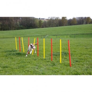 KERBL Agility complete set agility treniruočių rinkinys 9