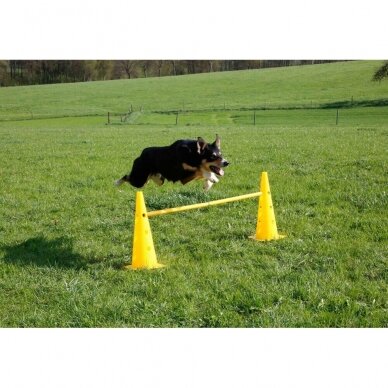 KERBL AGILITY CONE-HURDLE SET  for dog training 3