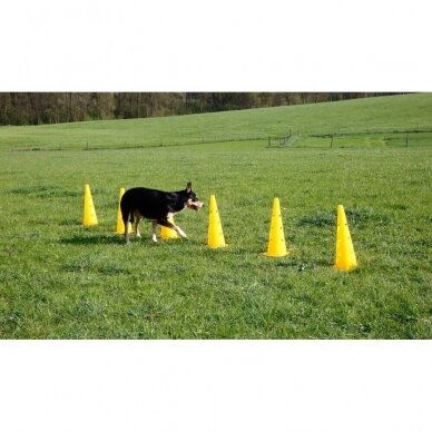 KERBL AGILITY CONE-HURDLE SET agility treniruočių rinkinys šunims 5