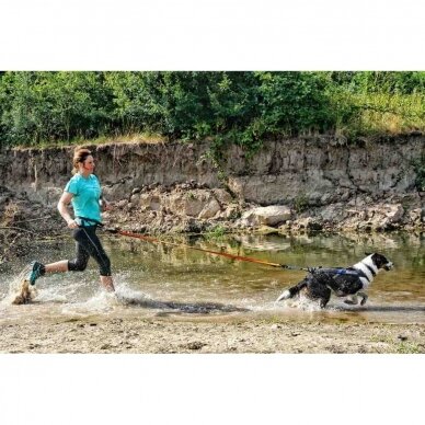 NON-STOP Bungee Leash   developed for canicross, bikejoring, and skijoring 5