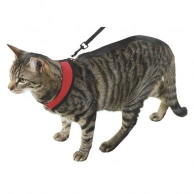 Kerbl CAT HARNESS ACTIV petnešos katėms 1