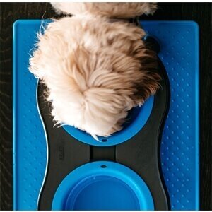 Dexas Pets Grippmat Flexible Non-Slip Pet Placemat silikoninis padėkliukas šunų ir kačių dubenėliams 6