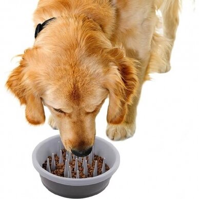 Dexas Slow Feeder Dog Bowl lėto valgymo dubenėlis šunims 5