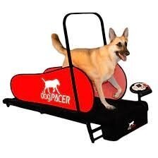 DOGPACER LF 3.1 DOG PACER TREADMILL for dogs 1
