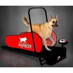 DOGPACER LF 3.1 DOG PACER TREADMILL for dogs 3