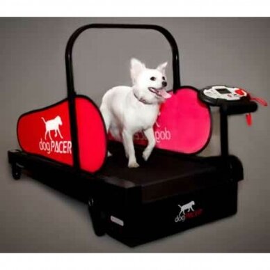 Dog Pacer MiniPacer Treadmill   has been engineered for the smaller dog 1