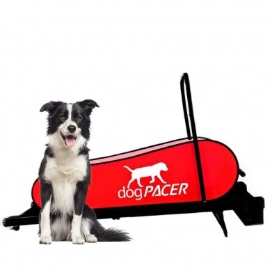 DOGPACER LF 3.1 DOG PACER TREADMILL for dogs 2