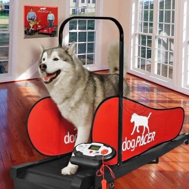 DOGPACER LF 3.1 DOG PACER TREADMILL for dogs 4