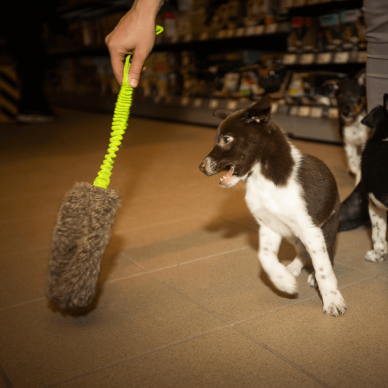 Faux fur tug with bungee handle dog toy 2