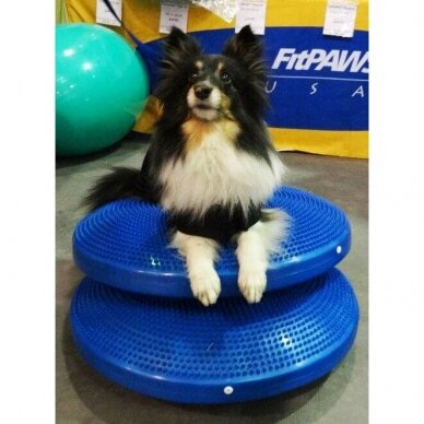 FitPAWS® Balance Discs balansinė pagalvė šunims 6