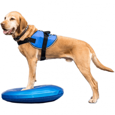 FitPAWS® Balance Discs balansinė pagalvė šunims 7