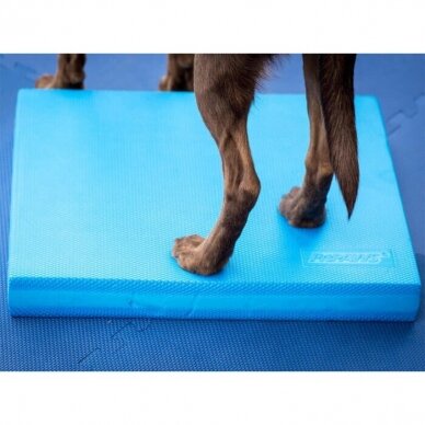 FitPAWS® Balance Pad balansinis padas šunims 4