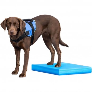 FitPAWS® Balance Pad balansinis padas šunims 1