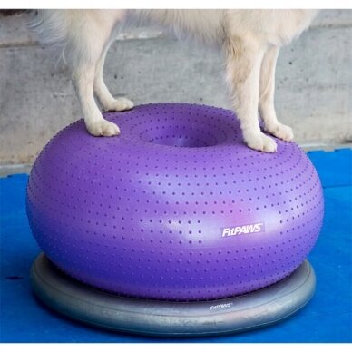 FitPAWS® Circular Product Holder apvalus balansinės spurgos laikiklis 2