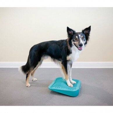 FITPAWS® RAMP balansinė pakopa šunims 4