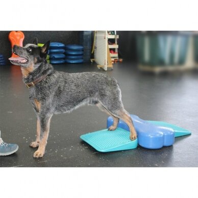 FITPAWS® RAMP balansinė pakopa šunims 7