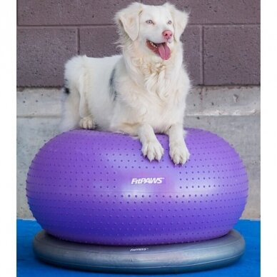 FitPAWS® TRAX Donut offers stability and versatility during dog  training 5