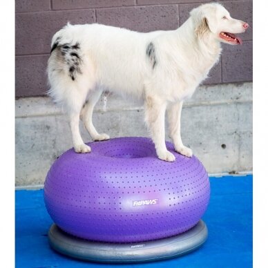 FitPAWS® TRAX Donut offers stability and versatility during dog  training 6