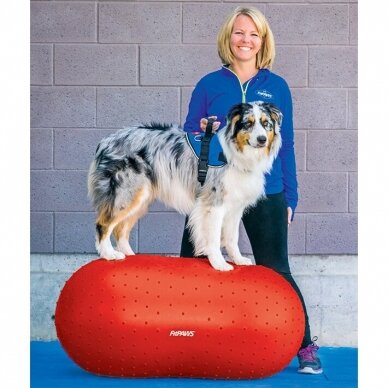 FitPAWS® TRAX™ Peanut  conditioning tool strengthens the muscles of the entire body. 3