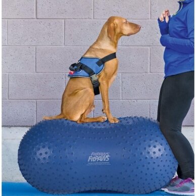 FitPAWS® TRAX™ Peanut  conditioning tool strengthens the muscles of the entire body. 4