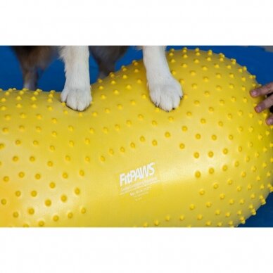 FitPAWS® TRAX™ Peanut  conditioning tool strengthens the muscles of the entire body. 6