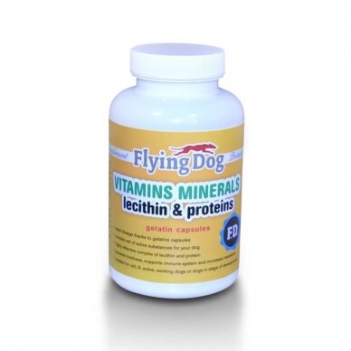 Flying Dog Vitamin & Mineral vitaminų ir mineralų kompleksas šunims