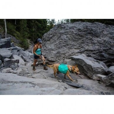 Ruffwear FRONT RANGE™ DAY PACK kelioninė kuprinė šunims 21