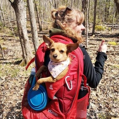 Kurgo G-TRAIN DOG CARRIER BACKPACK kelioninė kuprinė šuniui nešti 12