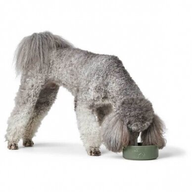 Hunter Ceramic bowl Osby ceramic bowl for dogs 3