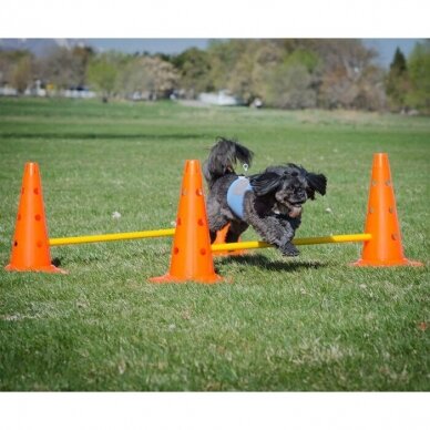 FITPAWS Hurdle Set kartelių rinkinys 5