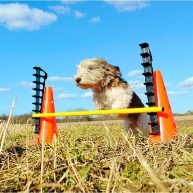 FITPAWS Hurdle Set kartelių rinkinys 6