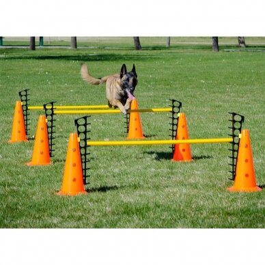 FITPAWS Hurdle Set kartelių rinkinys 4