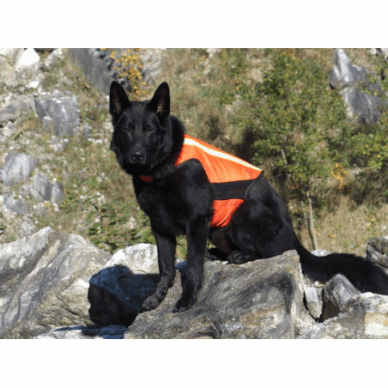 K9 Thorn DOG WARNING VEST High-visibility vest for dogs. 3