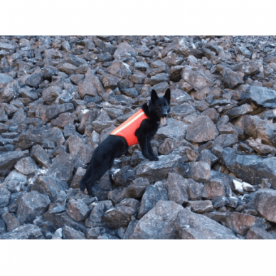 K9 Thorn DOG WARNING VEST High-visibility vest for dogs. 4