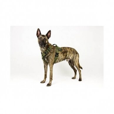 K9Thorn Harness- Delta Patrol and training harness 5