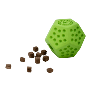 Kiwi Walker Let's Play! Dodecaball Bouncy dog toy 2