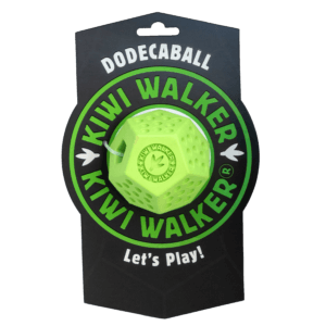 Kiwi Walker Let's Play! Dodecaball Bouncy dog toy 3