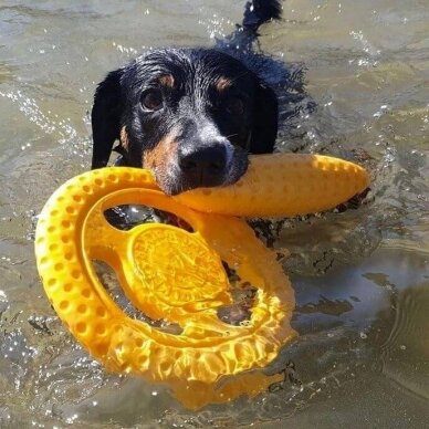 Kiwi Let's play Frisbee žaislas šunims 2