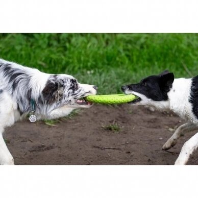 Kiwi Let's play! Ring durable  dog toy 2