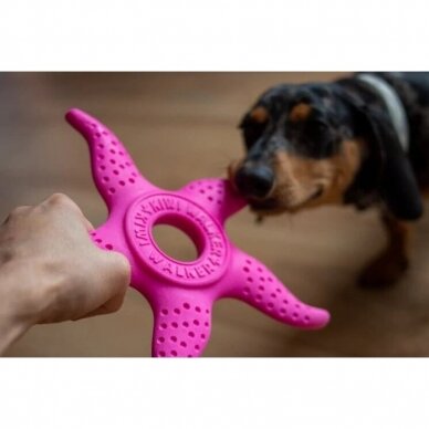 Kiwi Walker Let's Play! Octopus& Starfish 2in1  dog toy 5