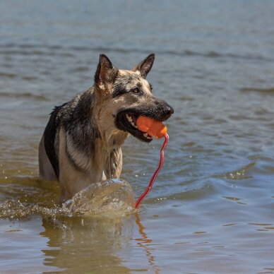 KONG Aqua is a floating retrieval dog toy 2