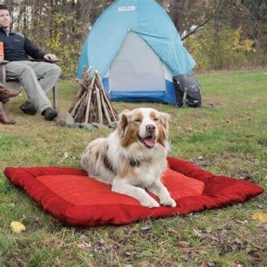 Kurgo Loft Wander Dog Bed kelioninis čiužinukas šunims 1