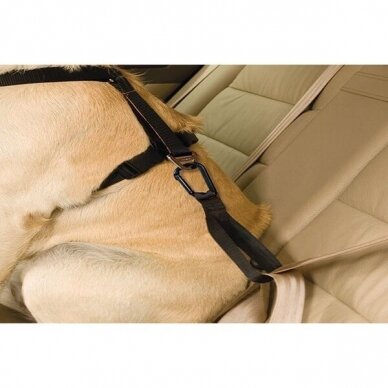 KURGO SEAT BELT TETHER  attaches to your dog’s harness with a carabiner 2