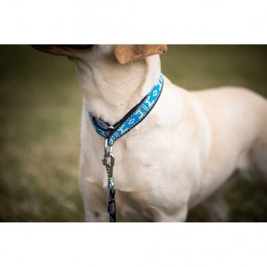 ManMat STANDARD MARTINGALE collar antkaklis šunims 6