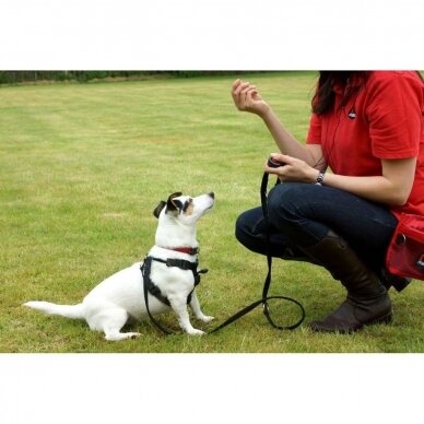 Mikkipet Clikka for dogs training 4