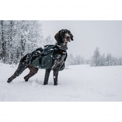 NON- STOP AMUNDSEN PACK  heavy-duty dog backpack 6