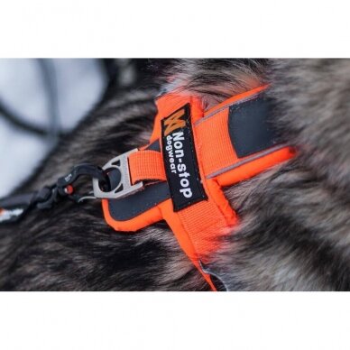 NON-STOP LINE HARNESS 5.0 dog harness 9