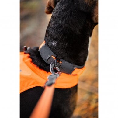 Non-stop Protector collar for dogs roaming freely 4