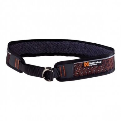 NON-STOP ROCK COLLAR A technical collar for dogs 1